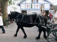photos 2000-200901533